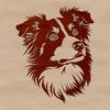 Lovable Aussie Facial Features Illustration Close-up illustration of an adult Australian Shepherd's head and facial features in a simple design style.