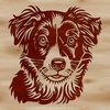 A high-resolution digital image of a breed-specific Australian Shepherd dog.
