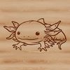 Axolotl salamander with distinctive head features.