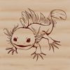 An illustration of a salamander with feathery gills and a flattened head, commonly kept as a pet in aquariums.