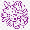 A detailed illustration of a bacterium with various components labeled, suitable for educational or reference purposes.
