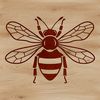Illustration of a bee with detailed vector art design.