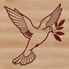 A realistic illustration of a dove in flight, suitable for religious or inspirational contexts.
