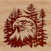 Detailed Eagle Portrait SVG Image A detailed illustration of a majestic eagle's head, designed as vector art.