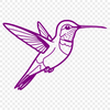 Lovely Hummingbird Illustration A detailed illustration of a hummingbird, designed as a scalable SVG file.