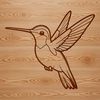 Vibrant Hummingbird Silhouette in SVG Format An ornithological design featuring a stylized hummingbird silhouette rendered in SVG format.