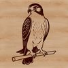 Majestic Falcon Vector Design A high-quality SVG design of a majestic bird, perfect for cutting machines like Cricut or laser cutters.