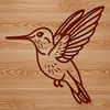 A small, iridescent hummingbird in flight, its wings beating rapidly as it hovers in mid-air.