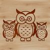 Adorable Owl Design SVG A stylized illustration of a small owl with large round eyes and soft feathers.