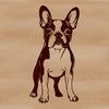 Beautiful Standing Dog Breed SVG Design A standing Boston Terrier dog breed illustration in vector format.