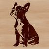 Vector Pug... no, wait! Boston Terrier Illustration A sitting Boston Terrier, depicted as vector art for digital design projects.