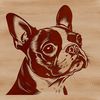 Adorable Boston Terrier head silhouette designed as a digital vector art.