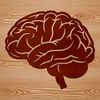 A detailed illustration of the human brain's anatomy, created in vector format.