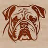 A close-up illustration of a Bulldog's head, suitable for vector art and clip art designs.