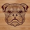 Beautiful Bulldog Head Illustration An illustration of a bulldog's head with ornate features.