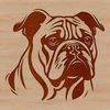 Bulldog Head Vector Illustration A digital illustration of a Bulldog's head, suitable for vector art projects.