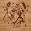Free Bulldog Clip Art Design for Cricut and Cutting Machines A close-up illustration of a bulldog's head, suitable for digital cut-out and vector design.