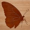 Colorful Winged Friend SVG A colorful butterfly with delicate wings and body, suitable for various applications in gardening and design.