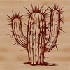 A single-stemmed desert plant with sharp spines and fleshy pads.