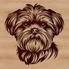 Shih Tzu Face Illustration A detailed illustration of a Shih Tzu's head, suitable for vector art and cutting machine designs.