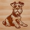 A small breed dog, the Miniature Schnauzer, sitting with its head held high.
