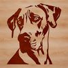 An illustration of a Great Dane animal, suitable as vector art for personal or commercial use.