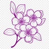 Delicate Pink Blooms A stylized illustration of a cherry blossom in full bloom with delicate pink petals and green stem.