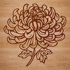 A detailed illustration of a single chrysanthemum flower with petals and center, suitable for gardening and floral designs.