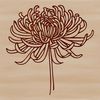 Floral Design Vector Art A stylized illustration of a chrysanthemum flower with intricate details, suitable for vector graphics.