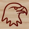 Free Vector Illustration of an Eagle's Head A simple line drawing of an eagle's head, illustrating the bird's distinctive features.