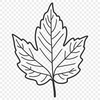 Smooth Edged SVG Illustration Leaf A detailed illustration of a single leaf with smooth edges, suitable for digital designs.