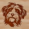 Stylish Havanese Dog Head Clipart A stylized illustration of a Havanese dog's head, suitable for vector design projects.