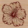 A colorful illustration of a hibiscus flower with multiple petals.