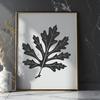Free Stylized Leaf Design SVG A single, stylized leaf designed as vector art for digital applications.