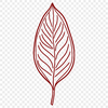 A detailed illustration of a single leaf with intricate veins, suitable for vector design projects.