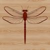 Colorful Flying Creature Graphic A colorful illustration of a dragonfly in flight, created as a vector graphic.