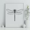Free Vector Dragonfly Art Download An illustration of a dragonfly in flight, designed as vector art for digital and print use.