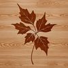 A single isolated leaf with intricate details, suitable for vector art and design projects.
