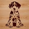 A large dog breed sitting upright, typical of the Great Dane breed.