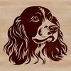 Friendly Face of a Lovable Cocker Spaniel A high-quality digital image of a Cocker Spaniel's head, suitable for use as vector art in various design projects.