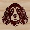 A Cocker Spaniel breed of dog with its distinctive head and features.