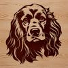 A detailed SVG drawing of a cocker spaniel's facial features, perfect for crafting and DIY projects.