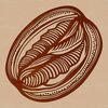 A high-resolution vector illustration of a single coffee bean.