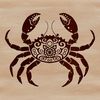 Wildlife Vector Art SVG Image A detailed illustration of a crab featuring intricate details and curved lines, suitable for vector art projects.