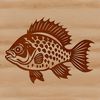 A vector illustration of a crappie fish in its natural habitat.
