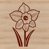 Close-up Blooms Illustration Close-up illustration of a daffodil flower in full bloom.