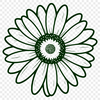 Detailed Daisy Vector Illustration A detailed vector illustration of a daisy flower with multiple petals.