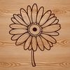Beautiful Hand-Drawn Daisies in High Resolution SVG Format A high-resolution digital representation of a daisy for graphic design and printing purposes.
