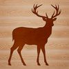 A simple silhouette illustration of a white-tailed deer in natural surroundings.
