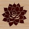 A stylized illustration of a succulent plant with thick fleshy leaves, suitable for graphic design and digital printing.